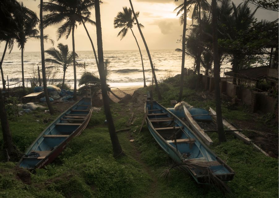 South Goa With Spice Plantation Tour Guided Day Tour by Car - Customer Reviews and Feedback