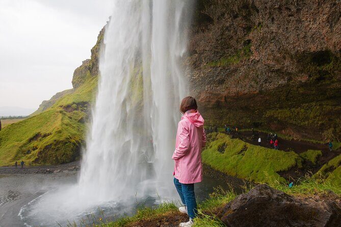 South Iceland, Glacier and Black Sand Beach Small Group Tour - Key Points