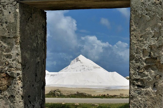 South island tour and Snorkel combo - In The Sum Up