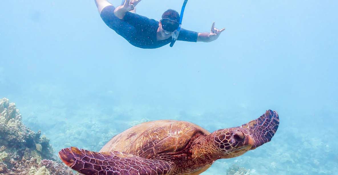 South Maui: Molokini Snorkeling Adventure - Snorkeling Locations
