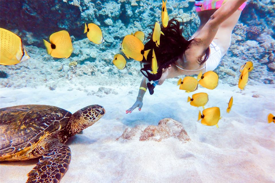 South Maui: Molokini Snorkeling Adventure - Booking and Logistics