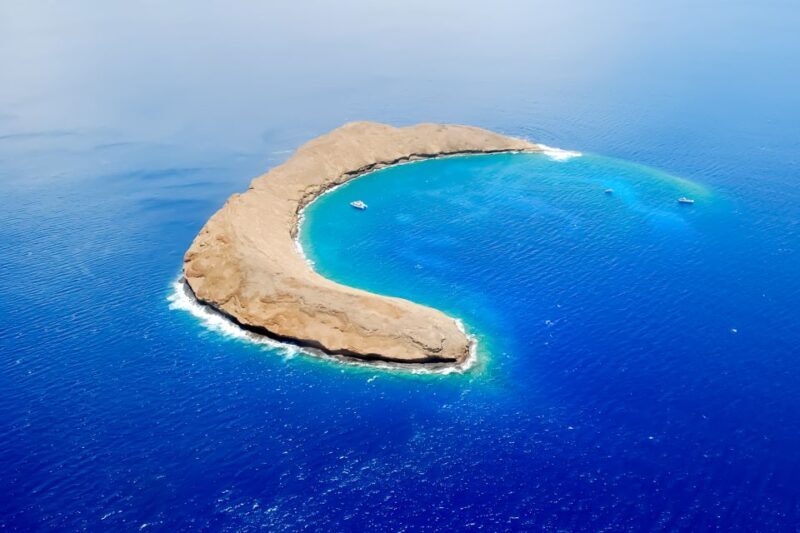 South Maui: Molokini & Turtle Adventure from Maalaea Harbor - Overview of the Tour