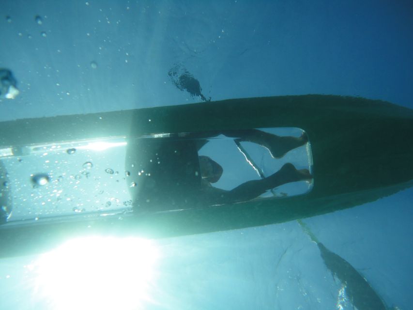 South Maui: Self Guided Clear Bottom Kayak Tour - Highlights of the Experience
