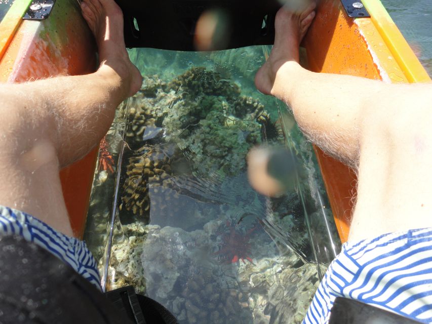 South Maui: Self Guided Clear Bottom Kayak Tour - Frequently Asked Questions