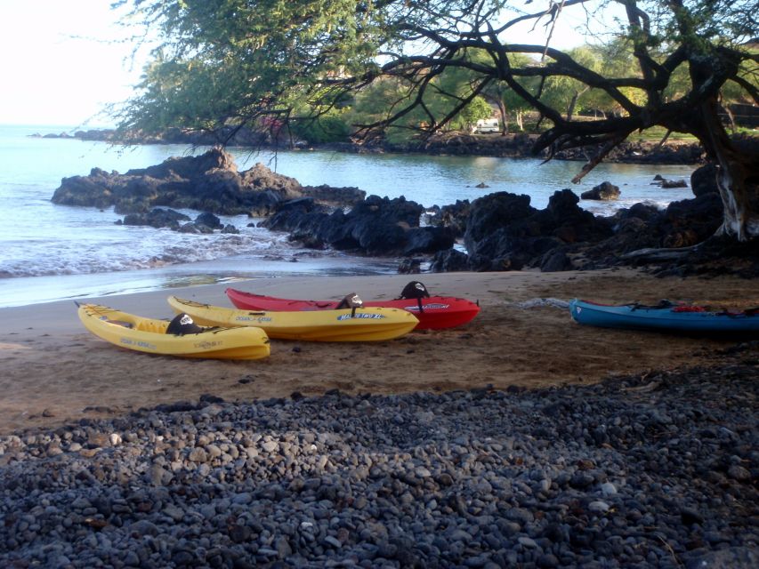 South Maui: Whale Watch Kayaking and Snorkel Tour in Kihei - Duration and Group Size