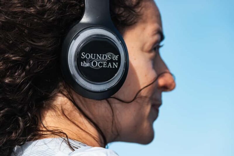 South Maui: Whale Watch Sail with Live Immersive Whale Songs - An In-Depth Look at the Experience