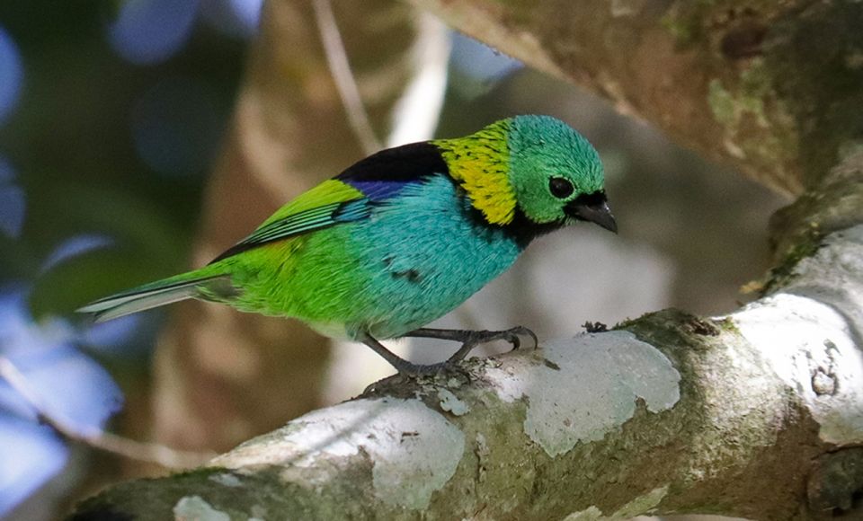 South of Brazil: Canyons, Rainforest and Waterfalls - Stunning Waterfalls to Discover