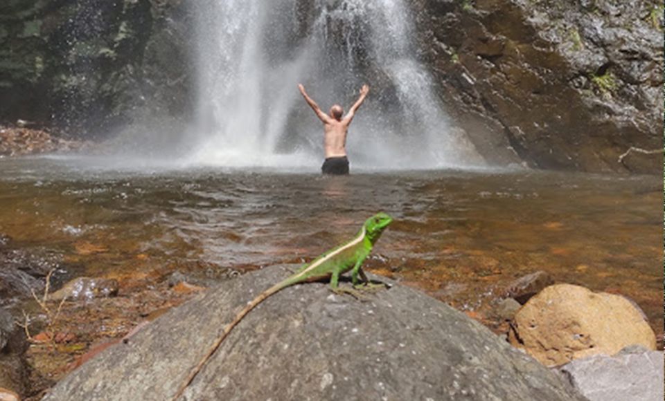 South of Brazil: Canyons, Rainforest and Waterfalls - Frequently Asked Questions