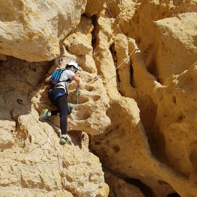 South of France: 4-Hour Philemon Crossing Adventure Course - Key Points