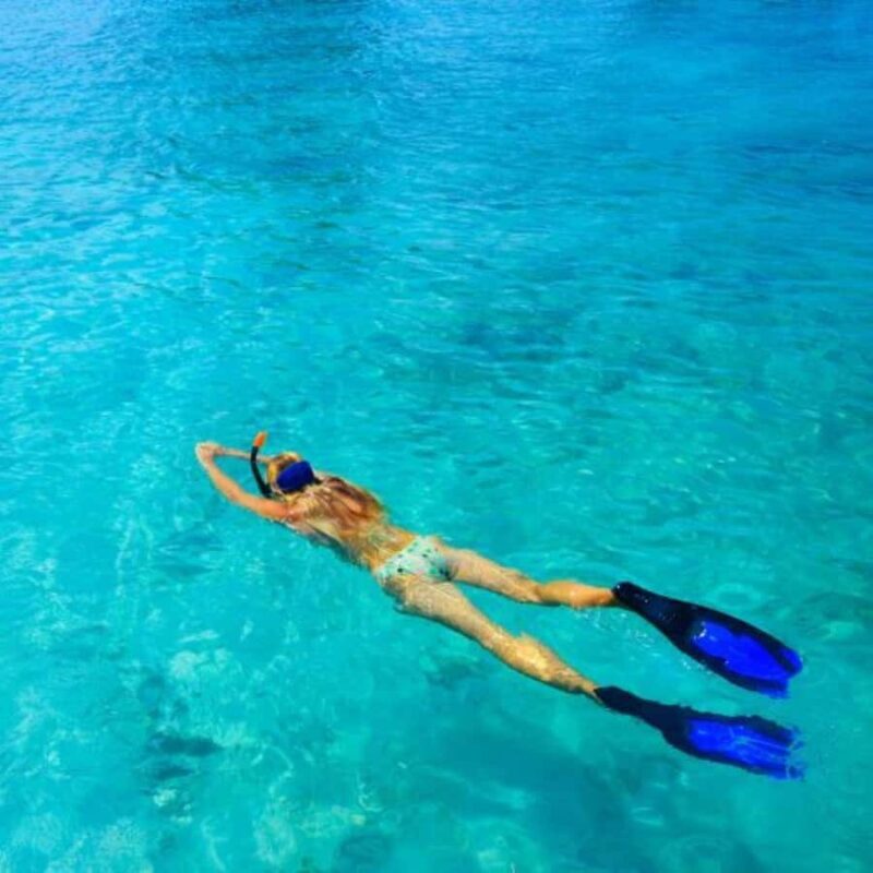 South Padre Island: North Bay Snorkeling Tour - Why You’ll Love This Snorkeling Tour