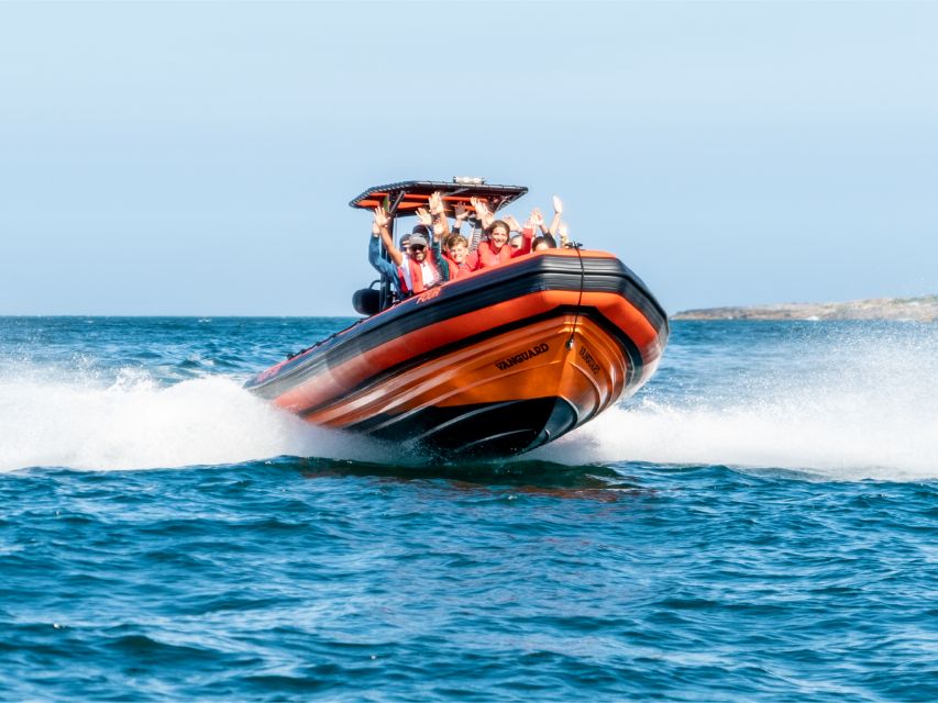 South Route: Dolphin Watching - Inclusions