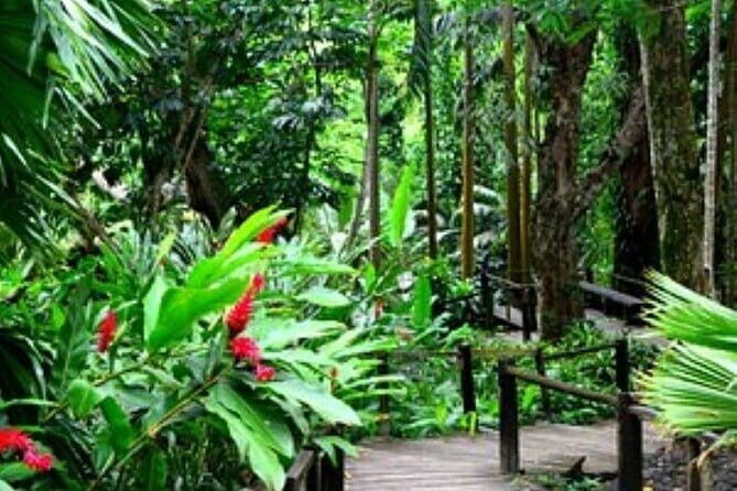 South Sea Island Half Day with Lunch & Drinks - What Travelers Can Expect from the Experience