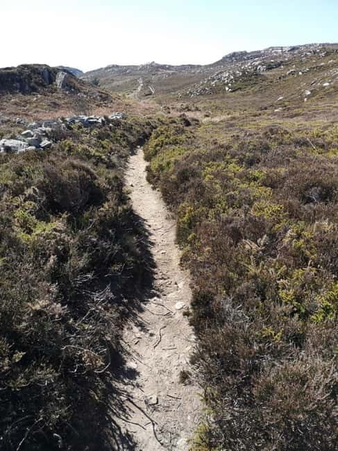 South Stack: Coastal Walking Tour with Café & History - Uncovering the Charm of South Stack: A Coastal Walk with History and Hospitality