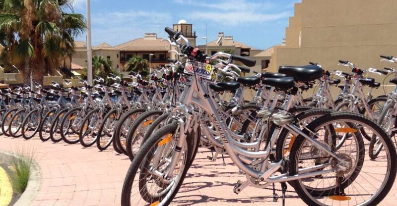 South Tenerife: Bike Rental With Hotel Delivery - Good To Know