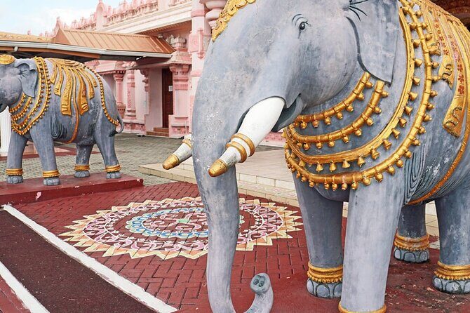 South Tour (Package) to Trinidad Pitch Lake & Datatria Temple - The Details of the South Tour Experience