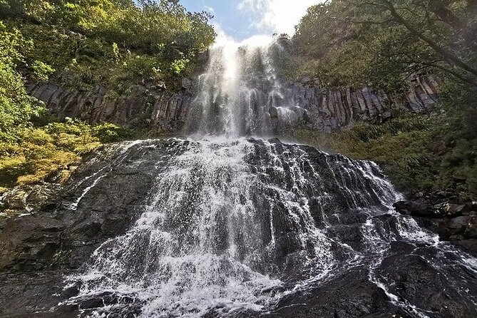 South-West of Mauritius Private Full-Day Scenic Tour - Traveler Feedback and Reviews