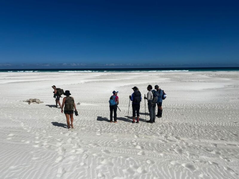 South West WA: 2 days fully catered hike & tenting adventure - Why This Tour Is Worth Considering