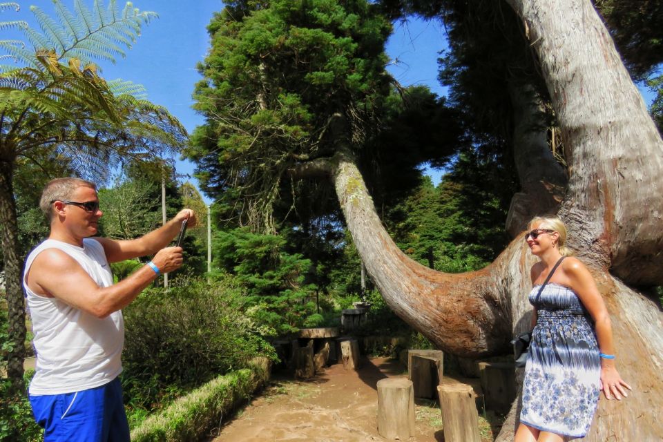 Southeast Madeira: Open Top 4x4 Tour - Booking Information