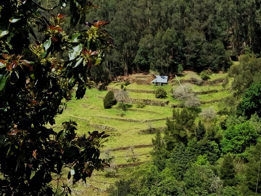 Southeast Madeira: Open Top 4x4 Tour - Itinerary