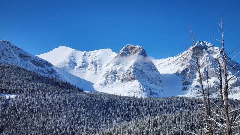 Southern Alberta: Canadian Rockies Guided Side by Side Tour - FAQ