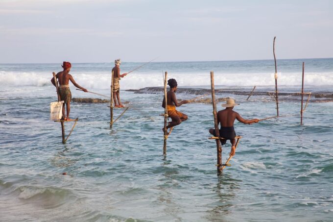 Southern Coast Highlights From Colombo Seaport - Cancellation Policy