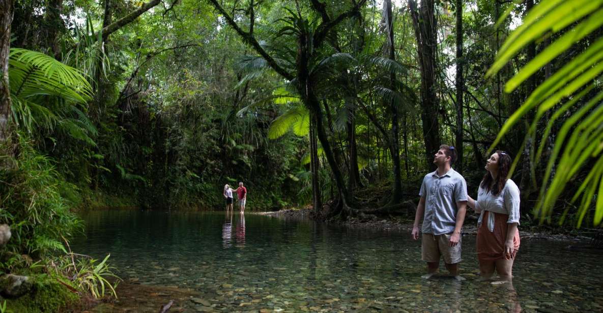 Southern Daintree Explorer Tour - Half Day - Inclusions