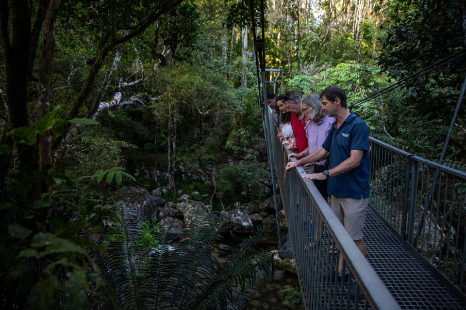Southern Daintree Explorer Tour - Half Day - Guest Review