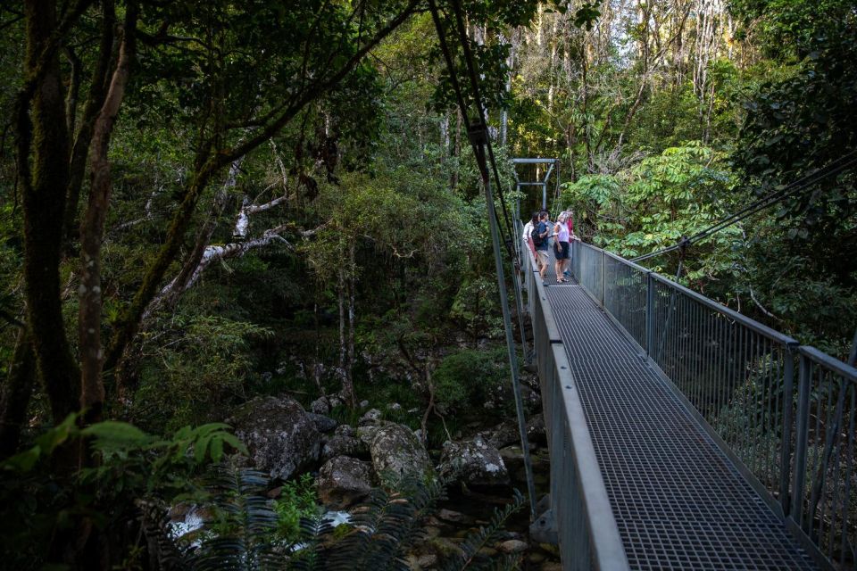 Southern Daintree Explorer Tour - Half Day - Frequently Asked Questions
