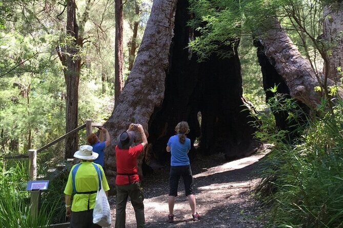 Southern Experience 3 Day Tour - The Sum Up