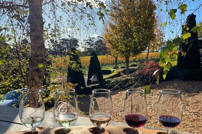 Southern Highlands Full Day Wine Tour Sydney Pick Up - Final Thoughts