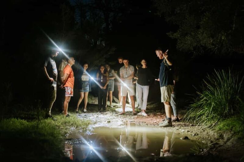 Southern Highlands: Nocturnal Wildlife Experience - Key Points