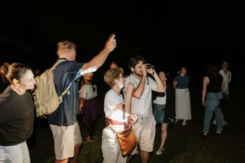 Southern Highlands: Nocturnal Wildlife Experience - A Closer Look at the Experience