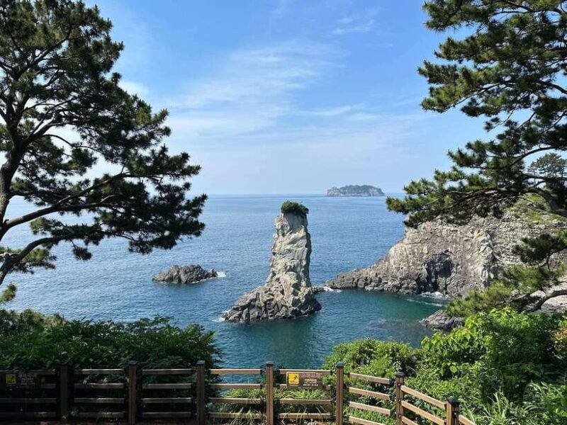 Southern Jeju Healing UNESCO Small Group Day Tour - Who Will Love This Tour?