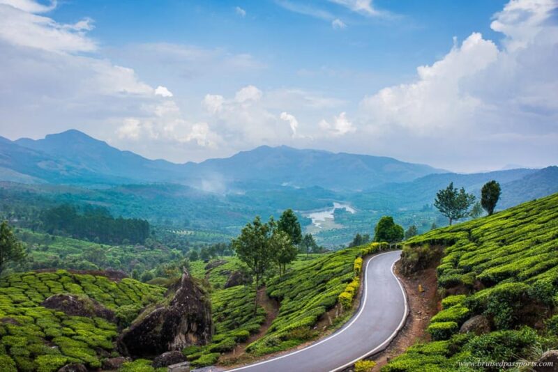 Southern Splendor: Exploring Tamil Nadu, Kerala & Karnataka - Good To Know