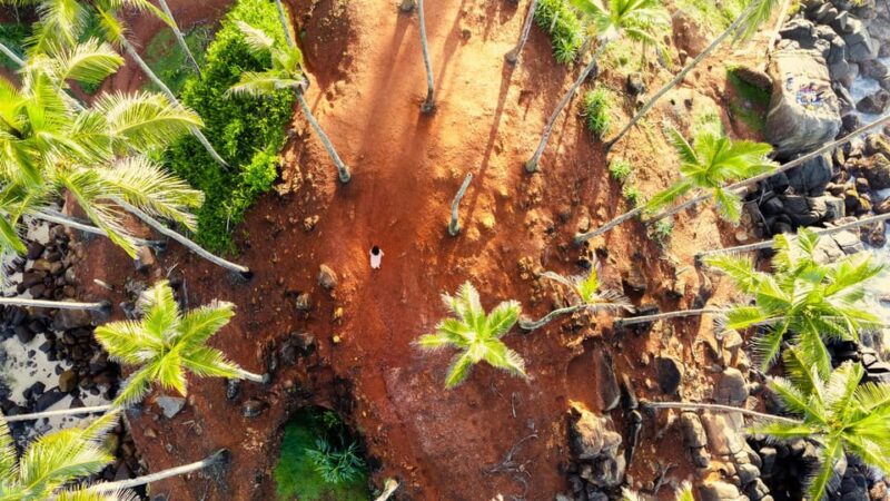 Southern Sri Lanka Beach Tour - Pickup and Drop-off Locations