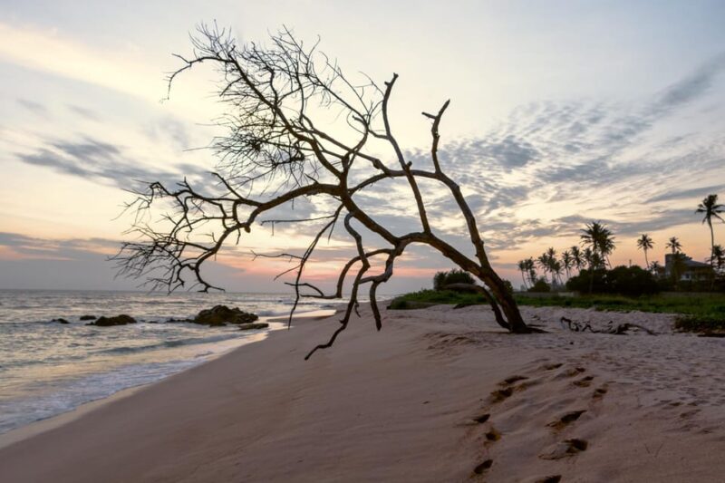 Southern Sri Lanka Beach Tour - Beach and Activity Options