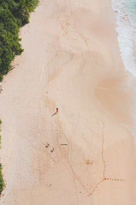 Southern Sri Lanka Beach Tour - Tour Duration and Price