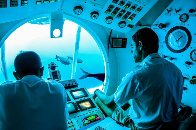 Southern Tenerife: 50-Minute Submarine Dive - Tour Details