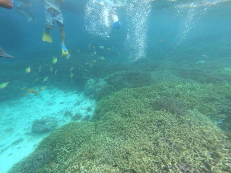 SouthWest Secret Gili,Gili Layar,Gili Gede&Gili Rengit - Why This Tour Excels: Highlights and What You Can Expect