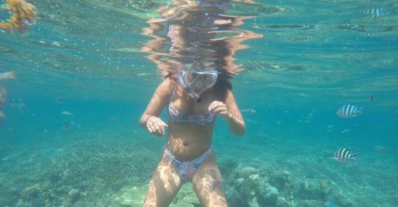 SouthWest Secret Gili,Gili Layar,Gili Gede&Gili Rengit - Good To Know