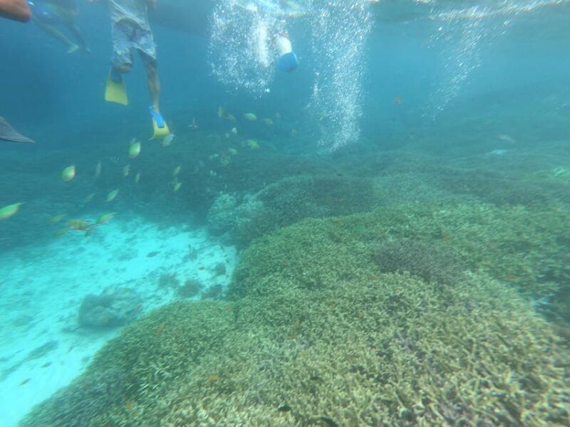 SouthWest Secret Gili,Gili Layar,Gili Gede&Gili Rengit - Itinerary and Highlights