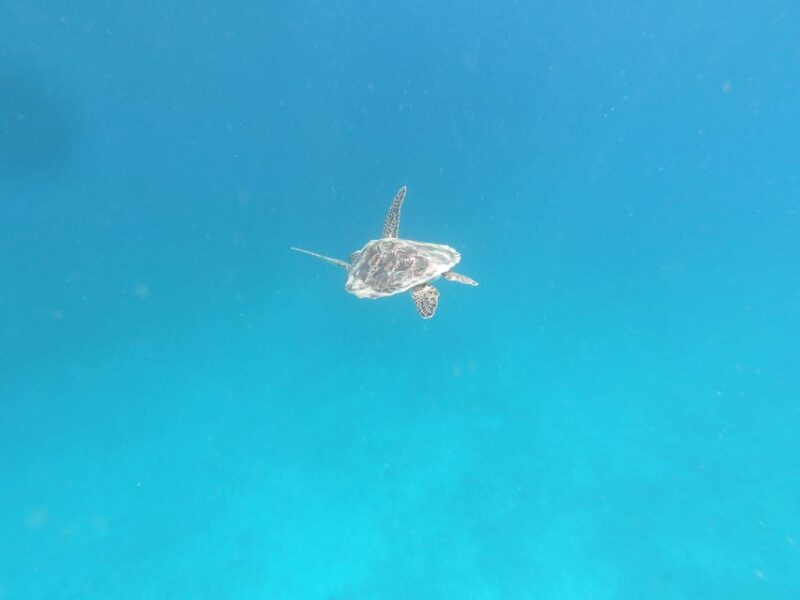 SouthWest Secret Gili,Gili Layar,Gili Gede&Gili Rengit - Pickup Locations