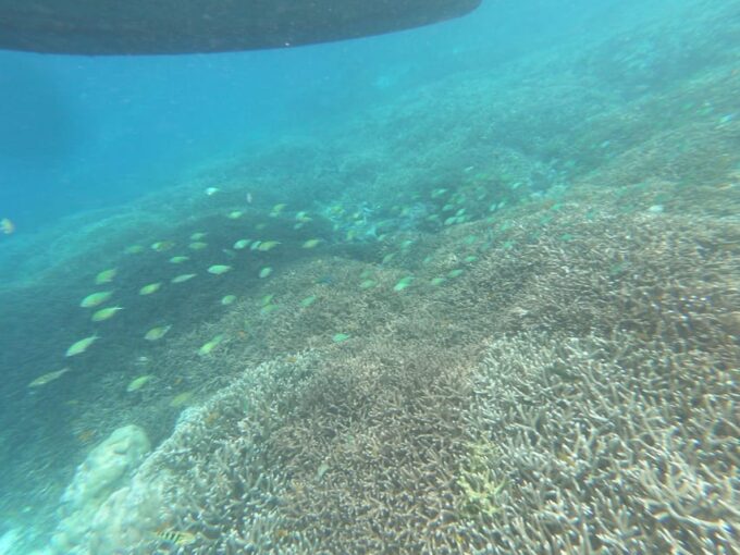 SouthWest Secret Gili,Gili Layar,Gili Gede&Gili Rengit - Frequently Asked Questions