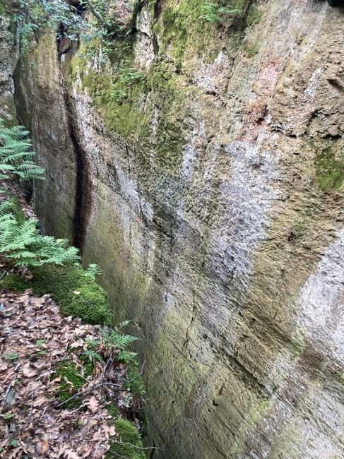 Sovana: Vie Cave & Etruscan Culture Hiking Tour with Tasting - The Itinerary in Detail