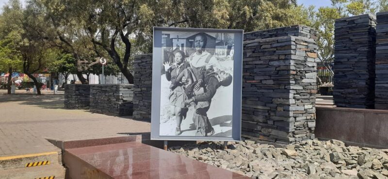 Soweto and apartheid museum tour(Half-day) - Who Should Consider This Tour?