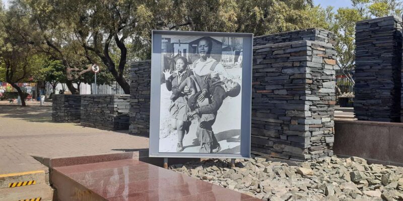 Soweto and Apartheid Museum Tour(Half-Day) - Mandelas Legacy in Soweto