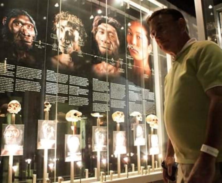Soweto, Cradle of Mankind, Lions Park & Lesedi Cultural Vill - Key Points  