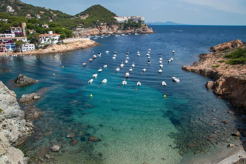 Spain: Coastal Drive and Boat Tour with Optional Cava - Who Will Enjoy This Tour?