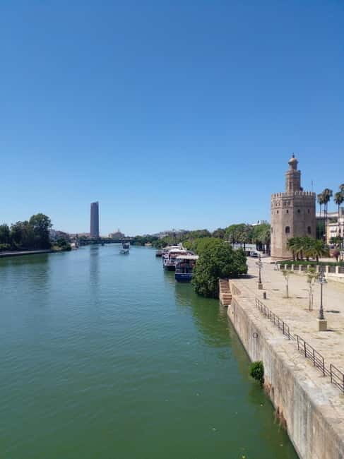 Spain Top Tour (Barcelona, Madrid, Valencia, Malaga,Sevilla) - Key Points