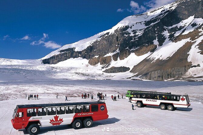 Spanish Private Tour to Columbia Icefields from Calgary - Key Points